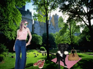 Picnic in Central Park