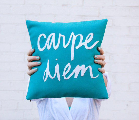 Carpe Diem Pillow by BrightJuly